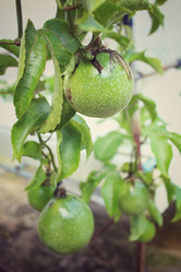 Similar image 8694917