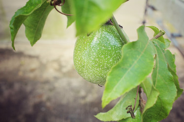 Similar image 8694977