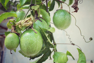 Similar image 8694979