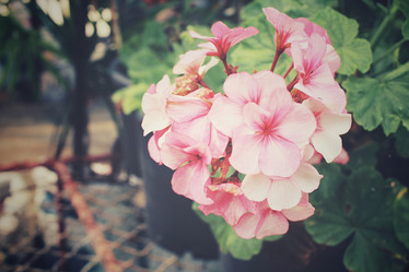 Similar image 8694984