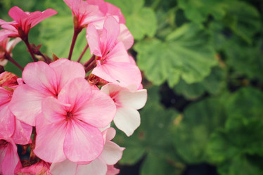 Similar image 8694985