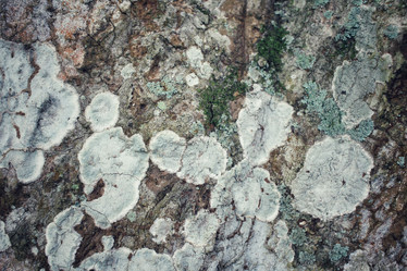 Similar image 8694988