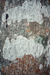 Similar image 8694990