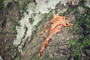 Similar image 8694992