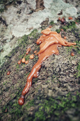 Similar image 8694994