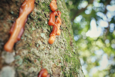 Similar image 8694996