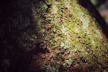 Similar image 8695082