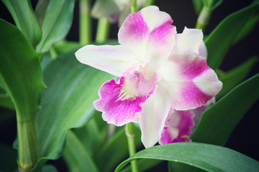 Similar image 8695086