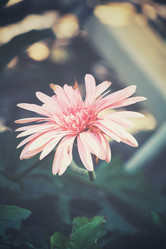 Similar image 8695087