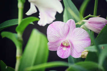 Similar image 8695089