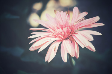 Similar image 8695091