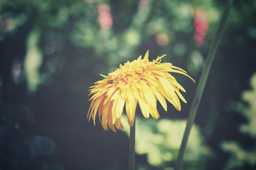 Similar image 8695095