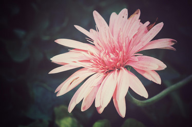 Similar image 8695096