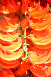 Similar image 8695098