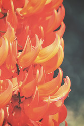 Similar image 8695100