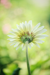 Similar image 8695155