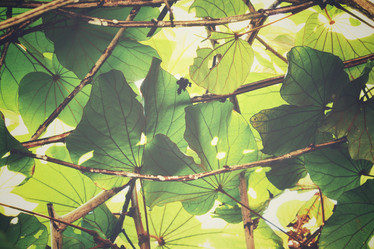 Similar image 8695159