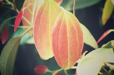 Similar image 8695161