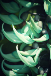 Similar image 8695163