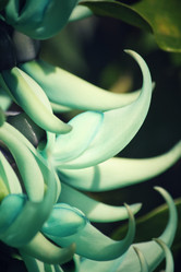 Similar image 8695164