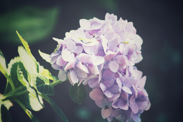 Similar image 8695168