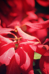 Similar image 8695172