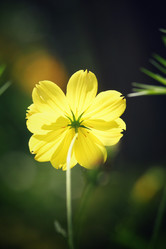 Similar image 8695173