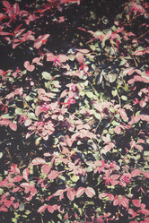 Similar image 8695175