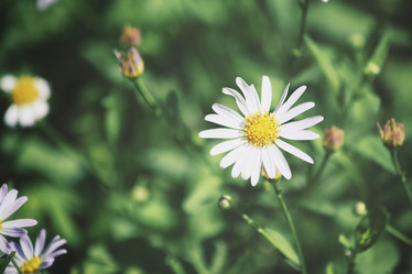 Similar image 8695177