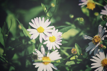 Similar image 8695179