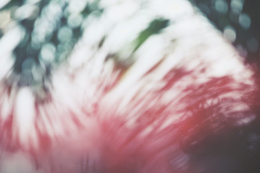 Similar image 8695183