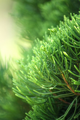 Similar image 8695185