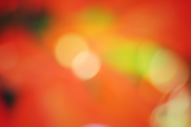 Similar image 8695186