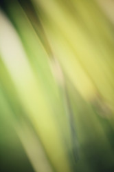 Similar image 8695188