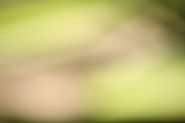 Similar image 8695232