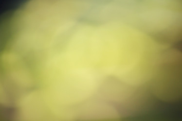 Similar image 8695234