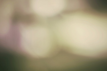 Similar image 8695236