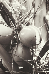 Similar image 8695237