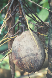 Similar image 8695239