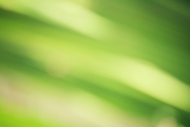 Similar image 8695241