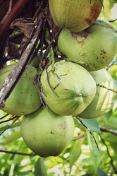 Similar image 8695243