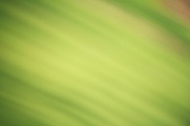 Similar image 8695245