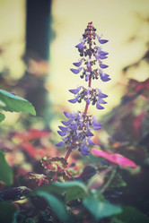 Similar image 8695253