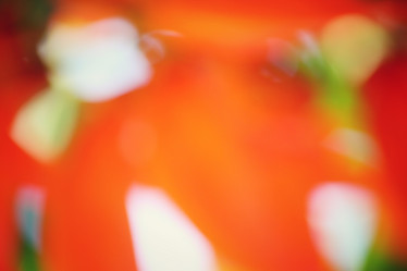 Similar image 8695254