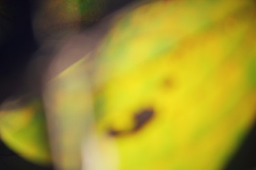 Similar image 8695256