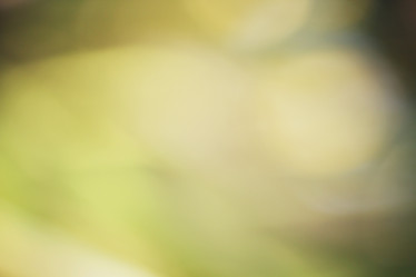 Similar image 8695259