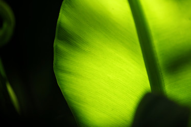 Similar image 8695260