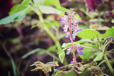 Similar image 8695262