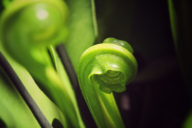 Similar image 8695268