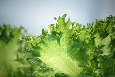 Similar image 8695318